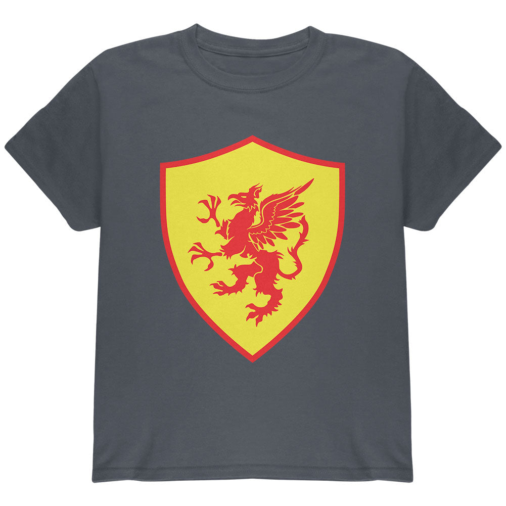 Halloween Knight Shield Costume Griffin Youth T Shirt Youth T-Shirts Old Glory YLG Charcoal