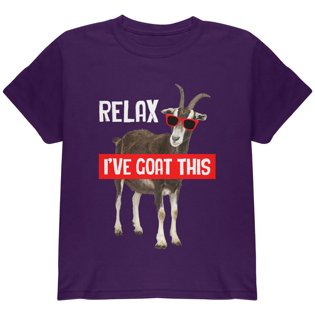 Relax I've Goat Got This Youth T Shirt Youth T-Shirts Old Glory YLG Purple