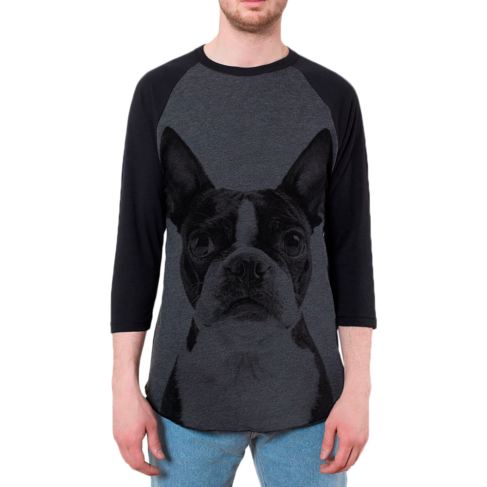 Boston Terrier Vintage Mens Raglan T Shirt Men's Raglans Old Glory 2XL Black