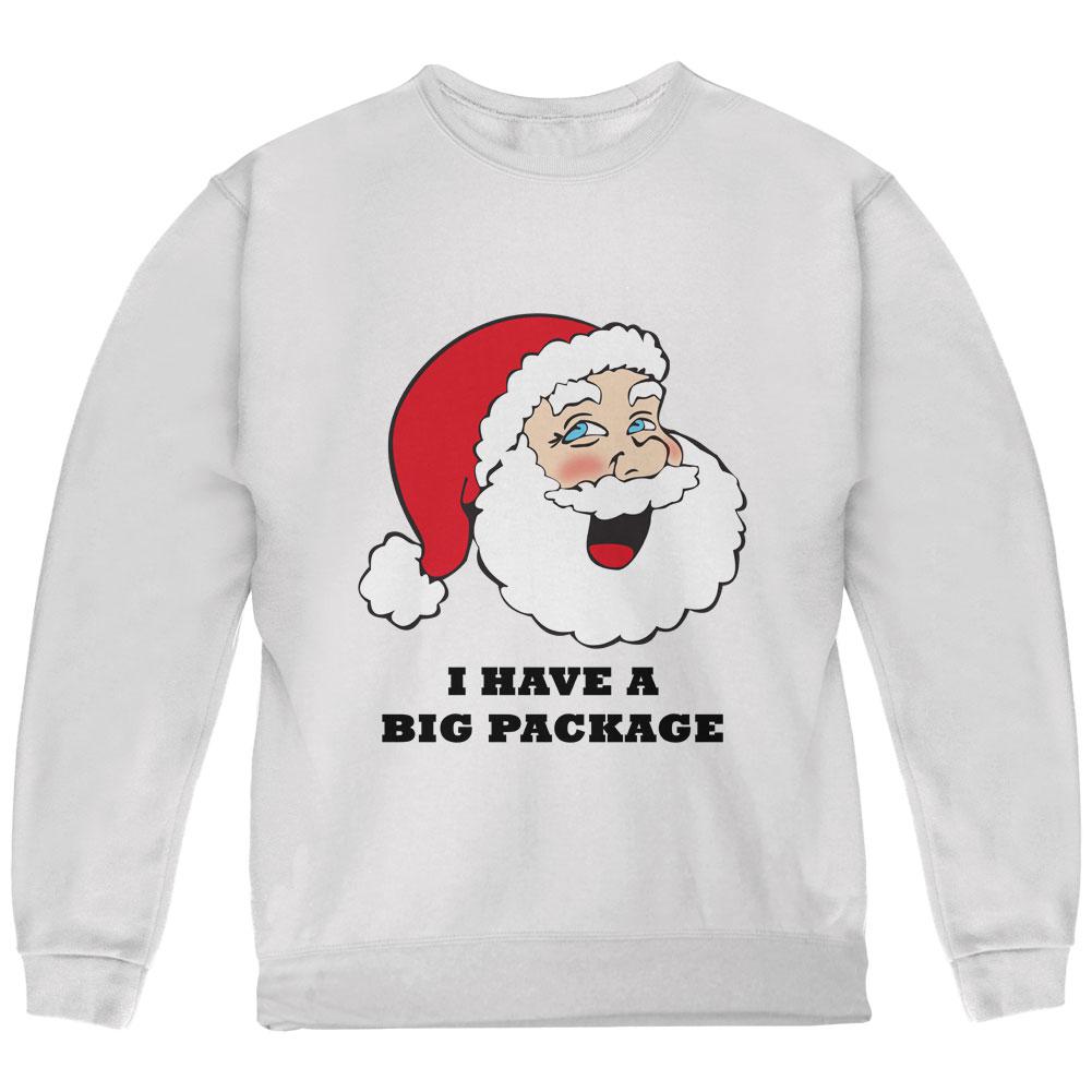 Christmas Santa I Have a Big Package Funny Youth Sweatshirt Youth Sweatshirts Old Glory LG White