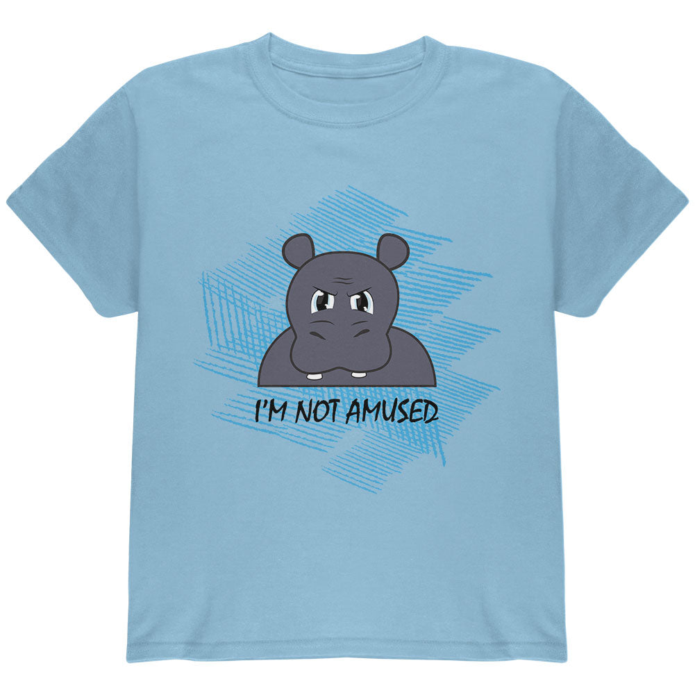 Hippo Not Amused Funny Youth T Shirt Youth T-Shirts Old Glory YLG Light Blue