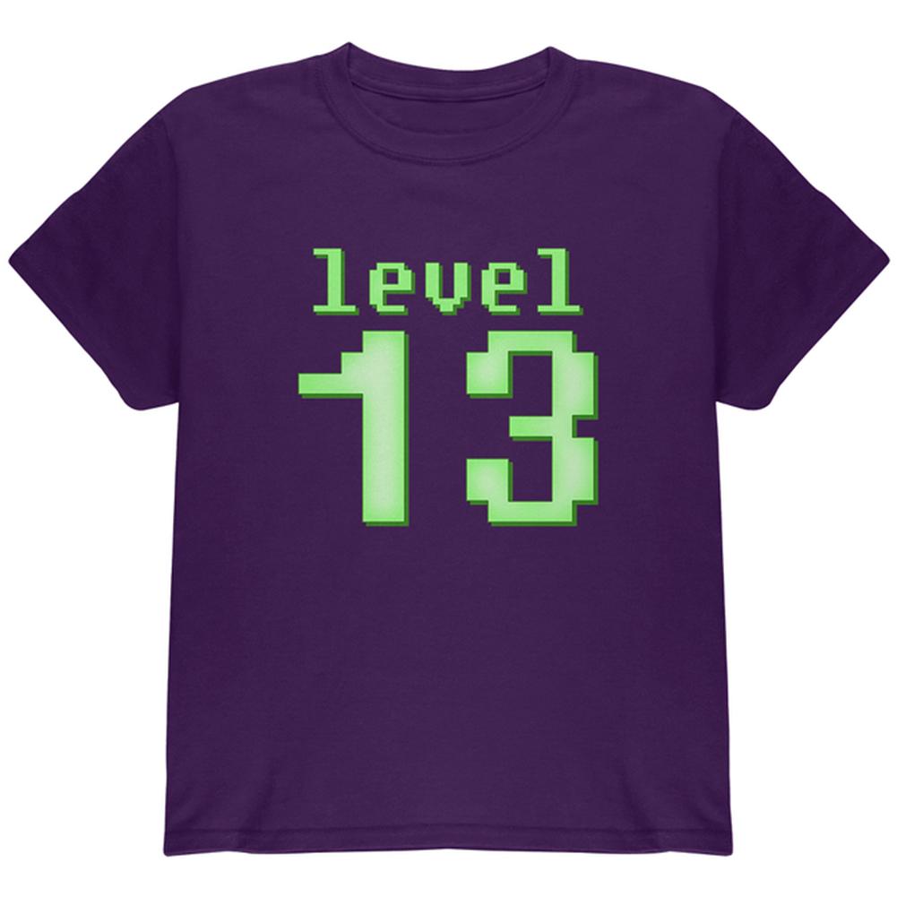 Gamer Milestone Birthday Level 13 Youth T Shirt Youth T-Shirts Old Glory LG Purple