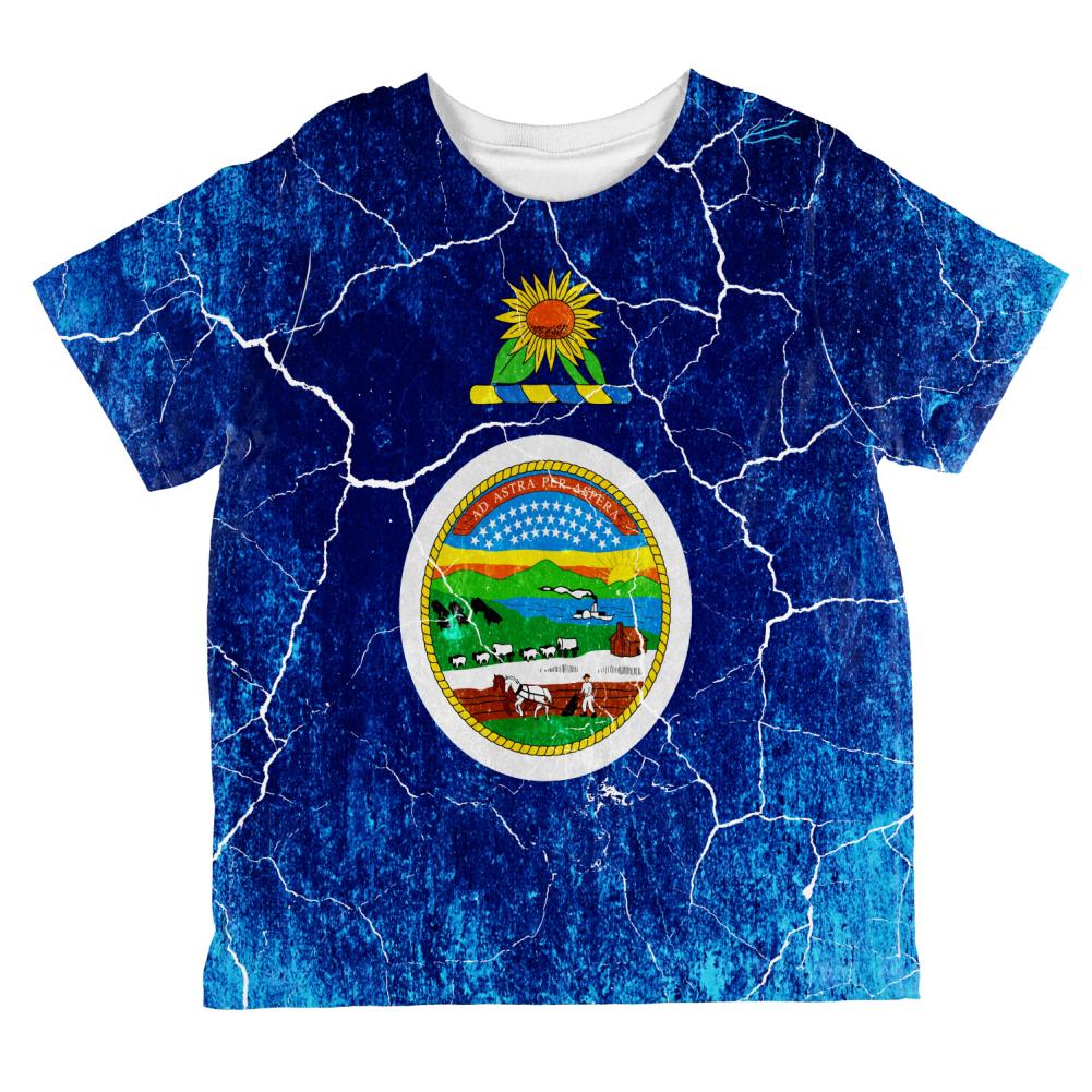 Kansas Vintage Distressed State Flag All Over Toddler T Shirt Toddler T-Shirts Old Glory 2T Multi