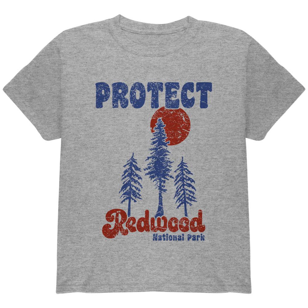National Park Retro 70s Landscape Protect Redwood Youth T Shirt Youth T-Shirts Old Glory LG Grey