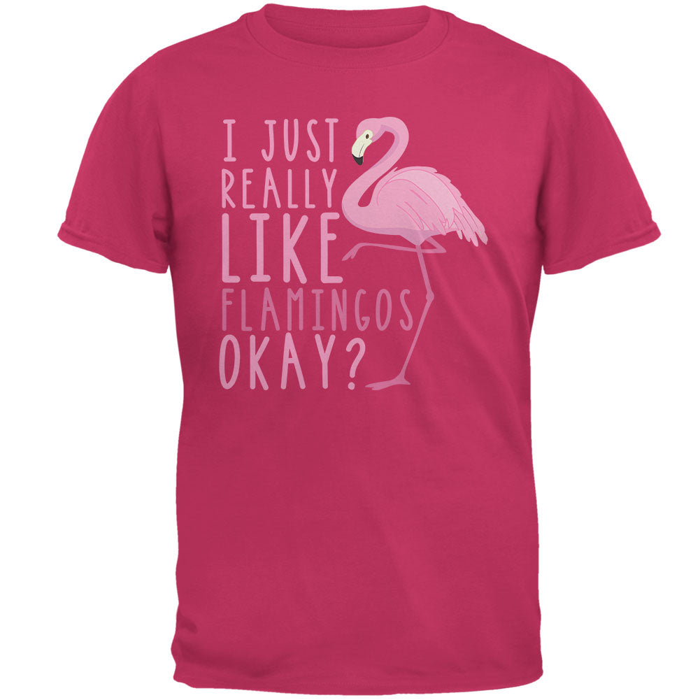I Just Really Like Flamingos Mens T Shirt Men's T-Shirts Old Glory 2XL Pink