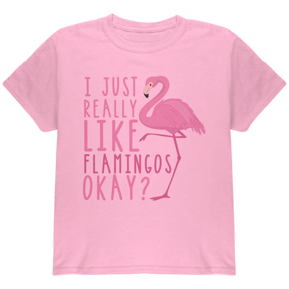 I Just Really Like Flamingos Youth T Shirt Youth T-Shirts Old Glory YLG Pink