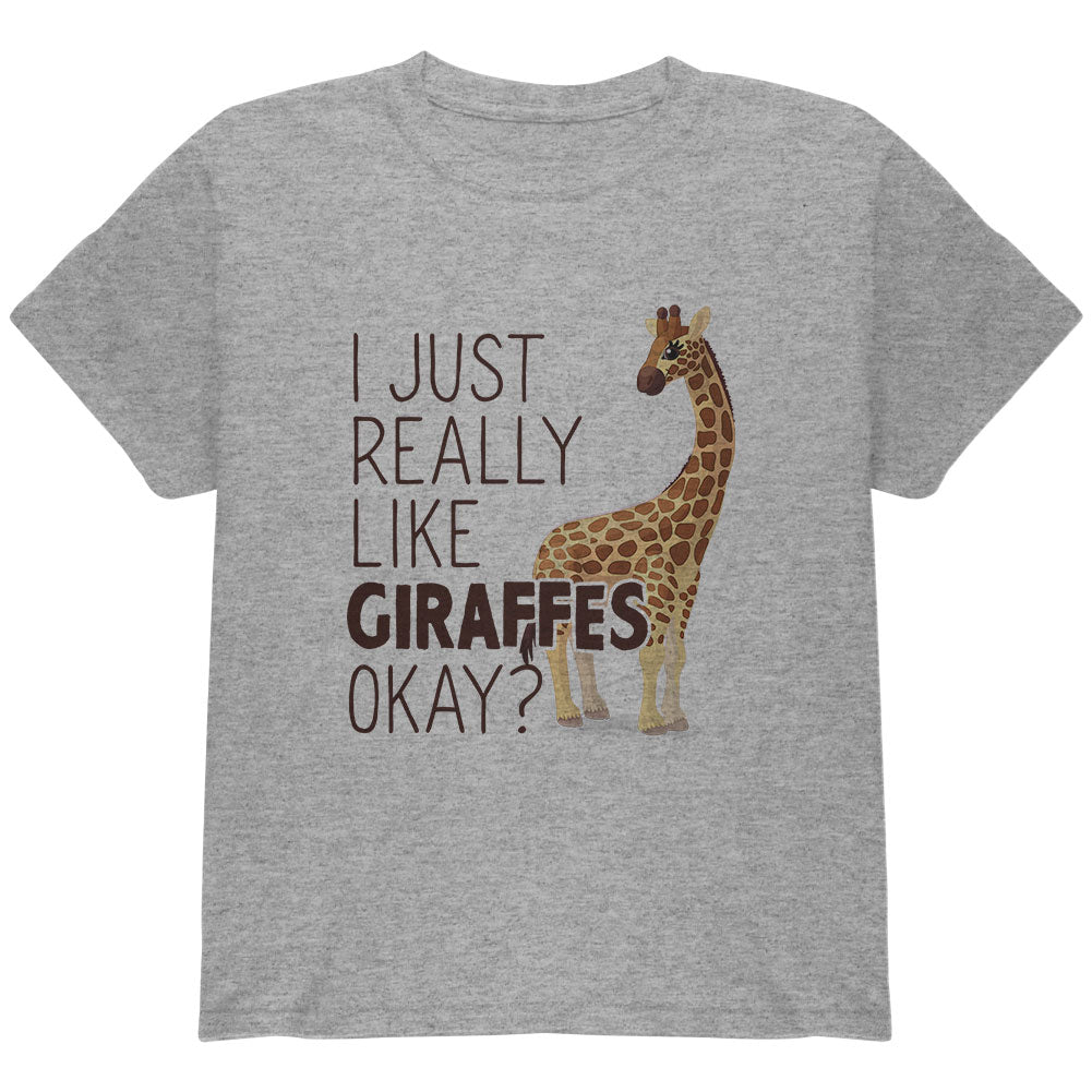 I Just Really Like Giraffes Ok Youth T Shirt Youth T-Shirts Old Glory YLG Heather Grey