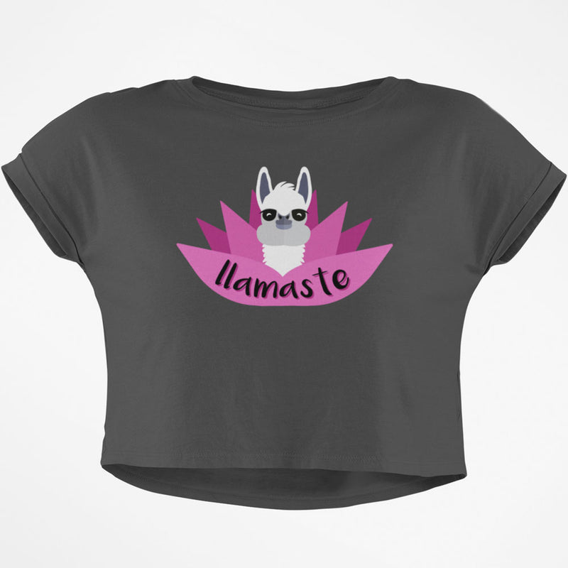 Llamaste Junior Boxy Crop Top T Shirt Juniors Crop T-Shirts Old Glory SM Grey