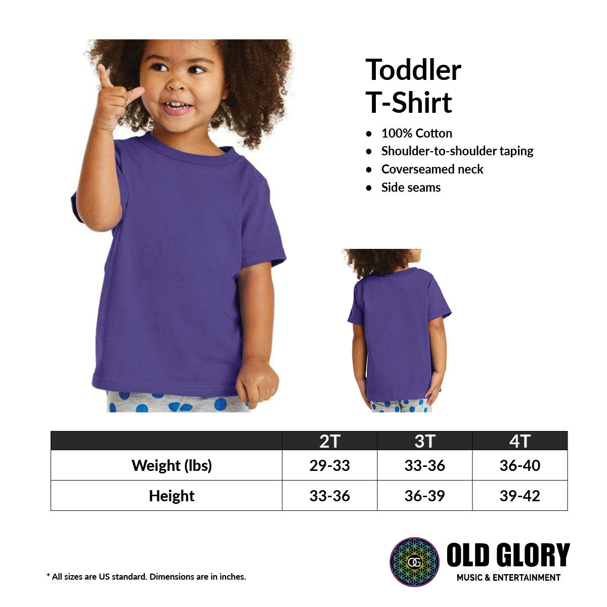Brontosaurus Dinosaurs Toddler T-Shirt Toddler T-Shirts Old Glory