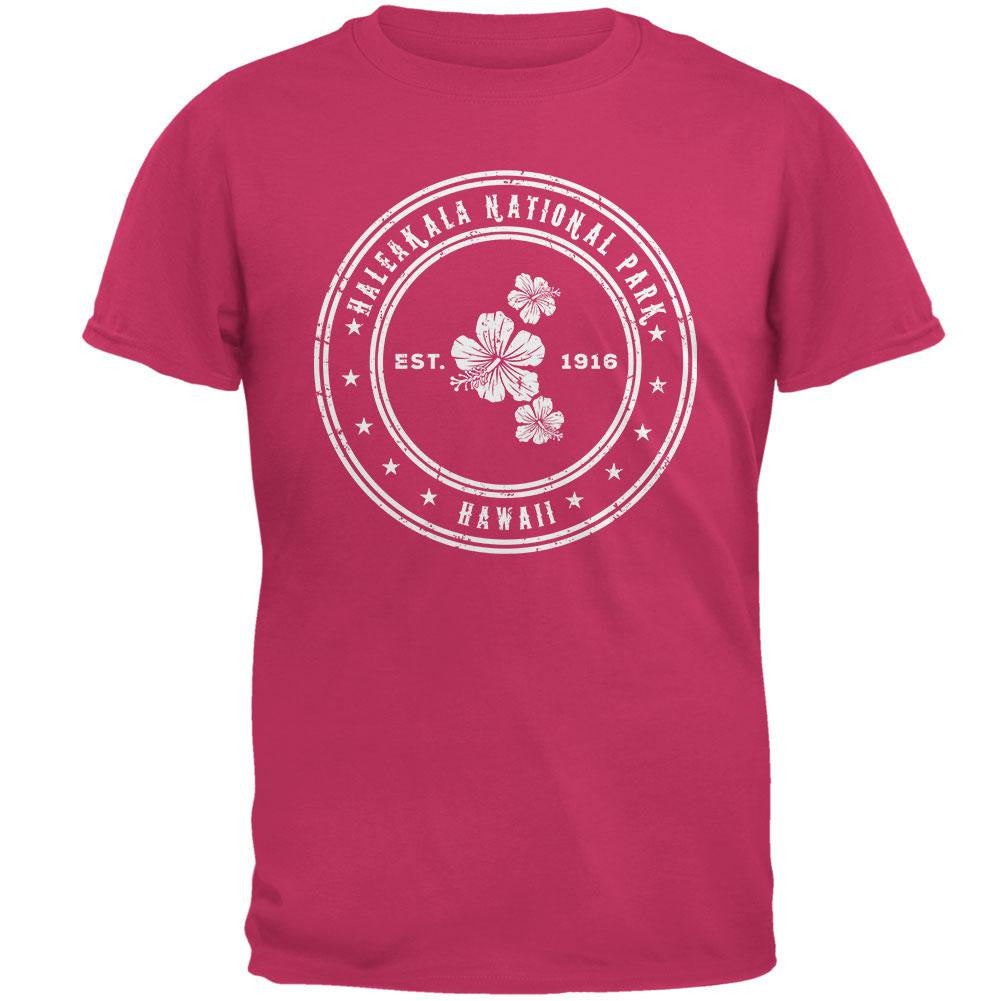 Haleakala National Park Pink Adult T-Shirt Men's T-Shirts Old Glory 2XL Pink