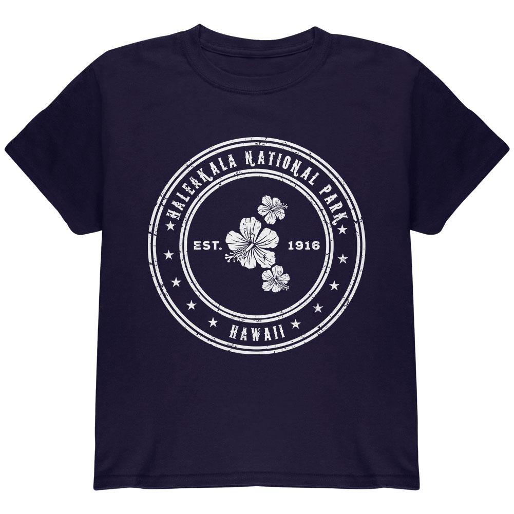 Haleakala National Park Navy Youth T-Shirt Youth T-Shirts Old Glory LG Blue