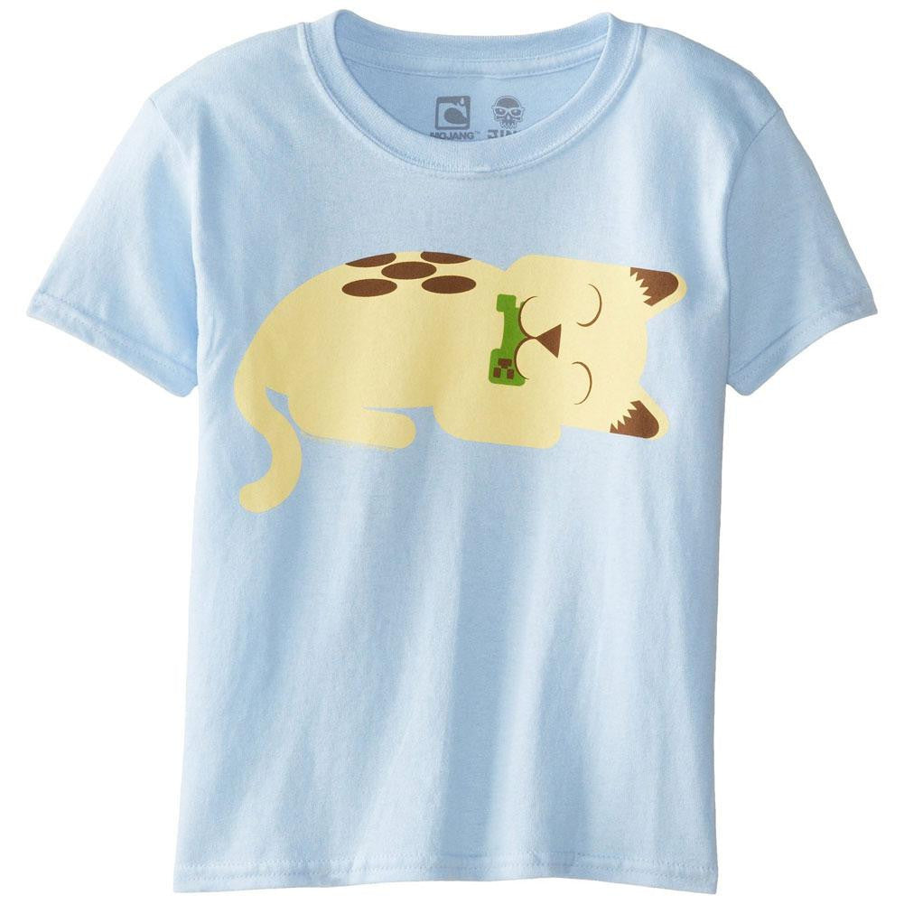 Minecraft - Safe and Sound Youth T-Shirt Youth T-Shirts Minecraft YXS Light Blue
