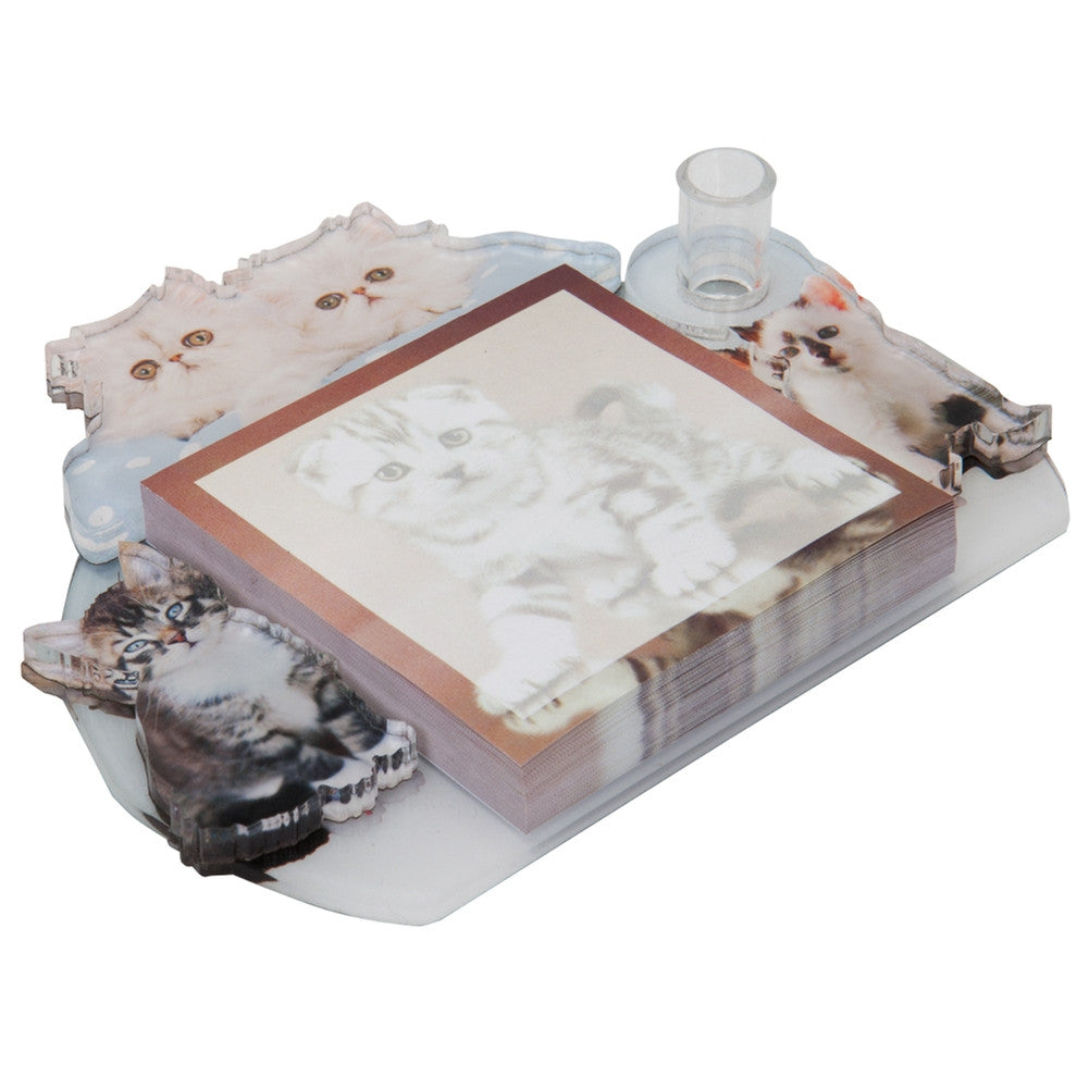 Cute Kittens Fashion Framed Notes Note Pads Animalworld