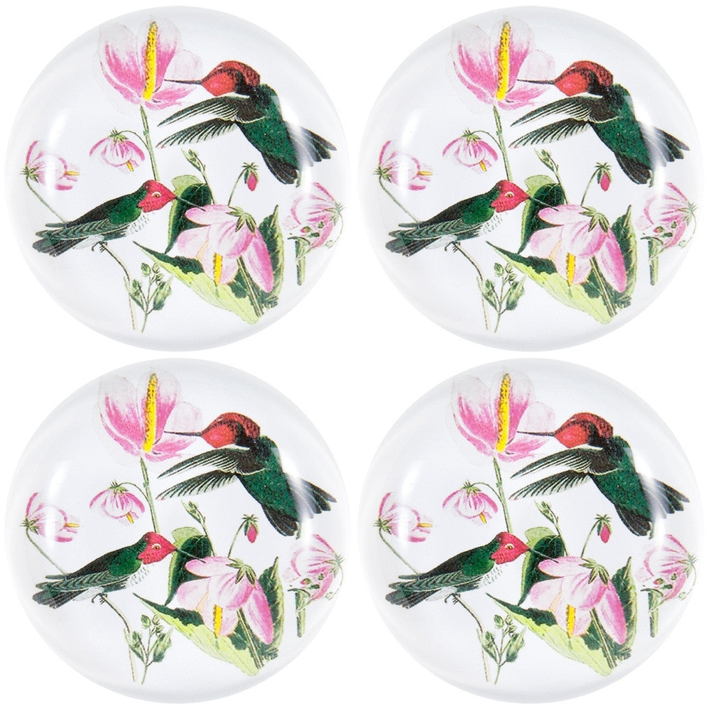 Colombian Hummingbirds In Flowers Set of Four Crystal Magnets Refrigerator Magnets AnimalWorld