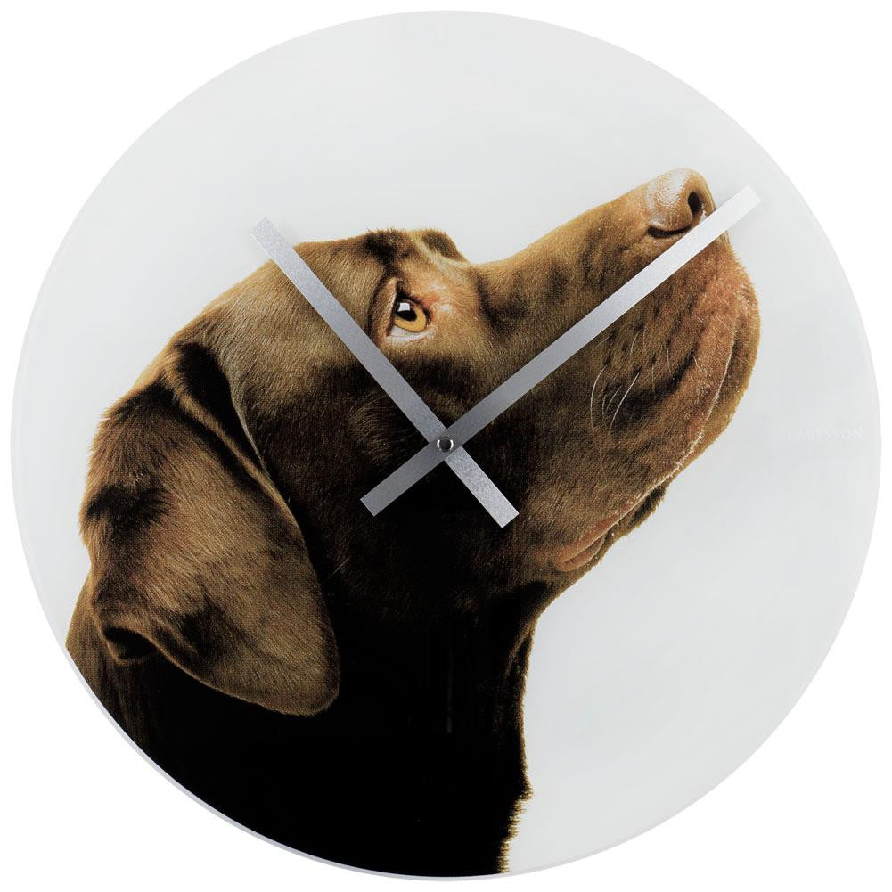 Crazy Dogs Choco Lab Wall Clock Clocks AnimalWorld