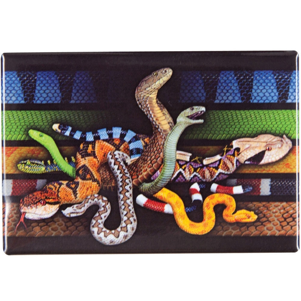 Venomous Snakes Refrigerator Magnet Refrigerator Magnets AnimalWorld