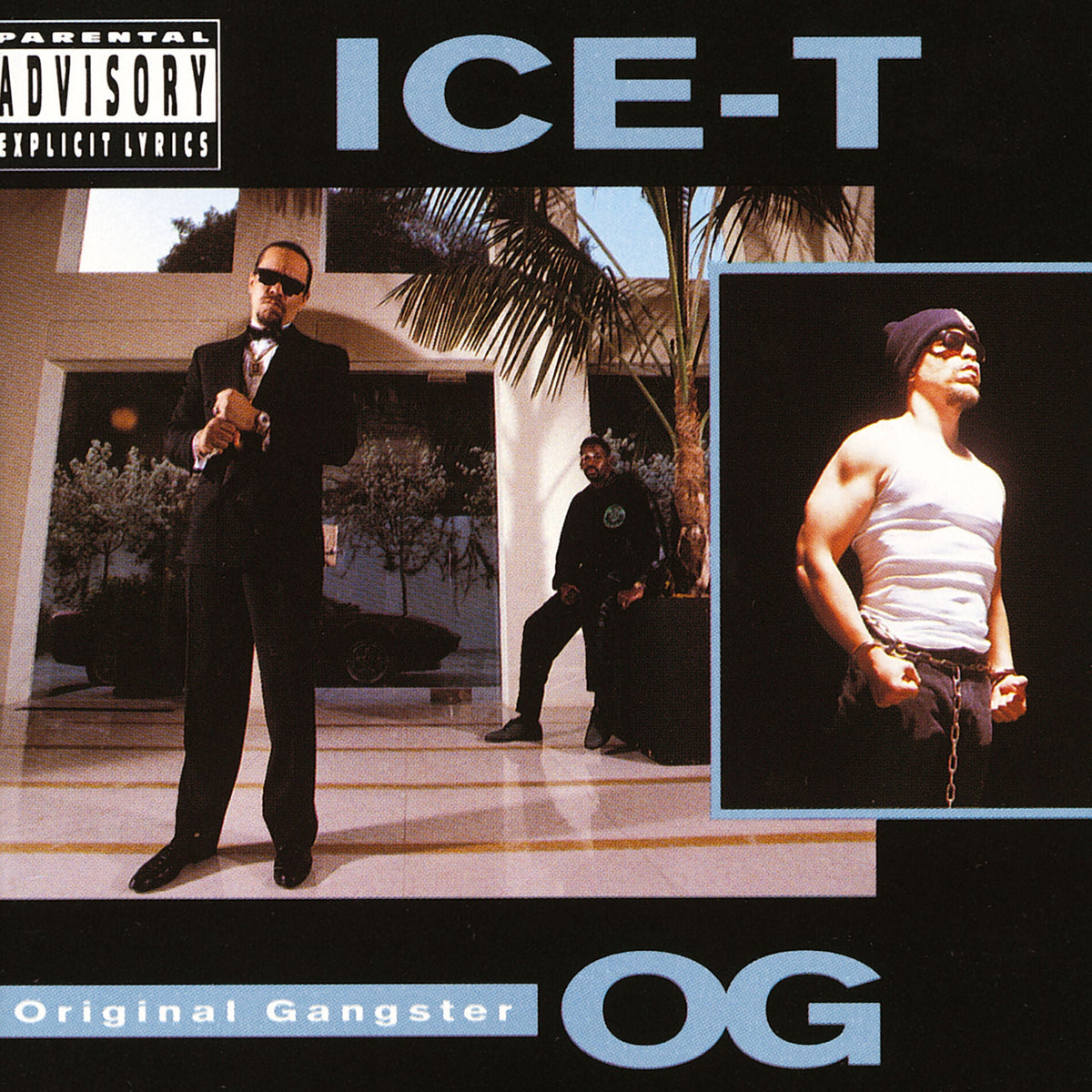 Ice T