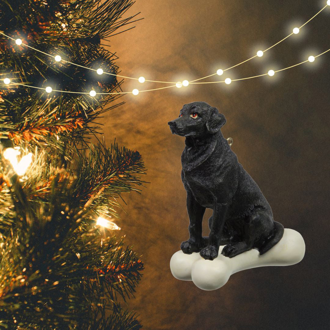 Black Labrador Retriever on Bone Ornament 3 Pack - One Size / Multi Ornaments Old Glory   