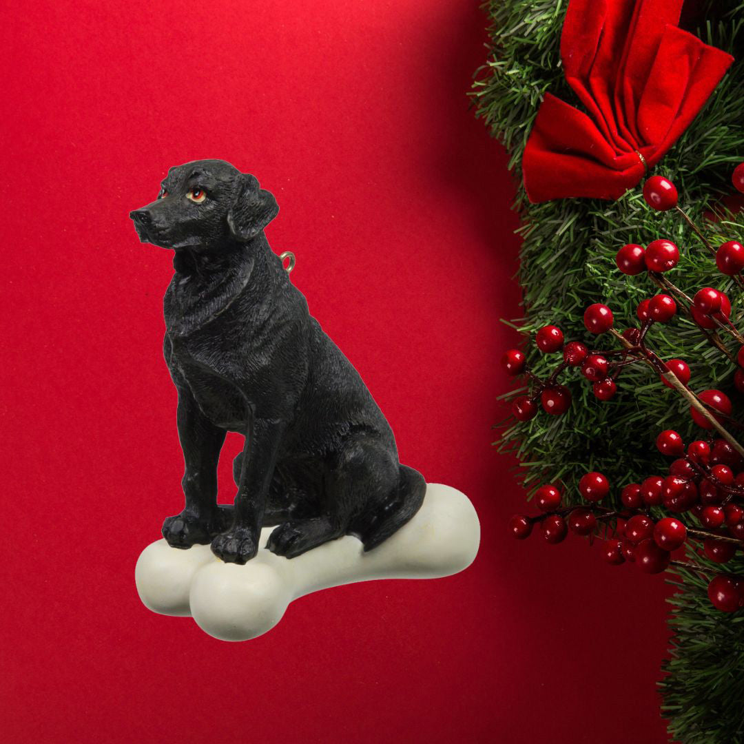 Black Labrador Retriever on Bone Ornament 6 Pack - One Size / Multi Ornaments Old Glory   