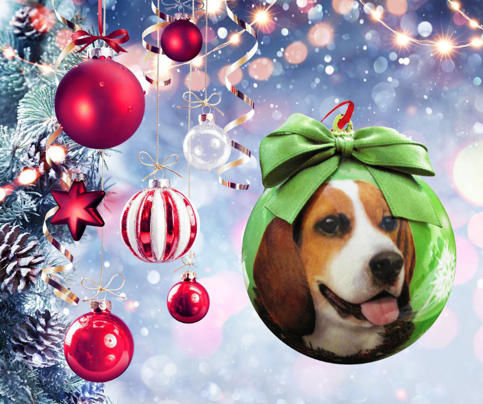 Beagle Christmas Ball Ornament 6 Pack - One Size / Light Green Ornaments Old Glory   
