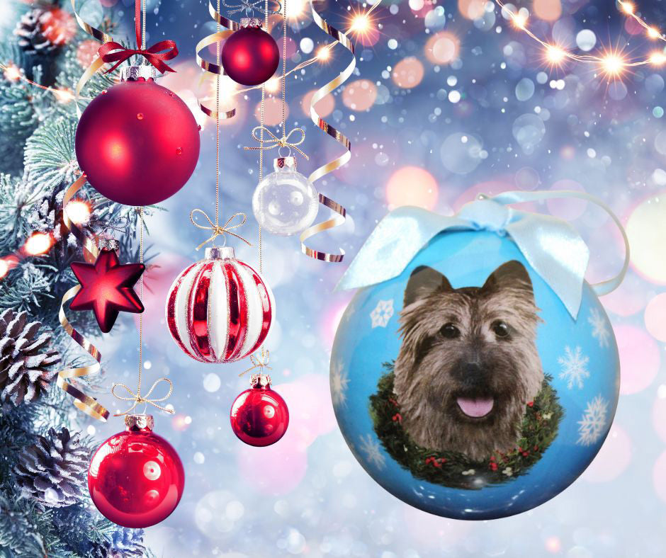 Cairn Terrier Christmas Ball Ornament 3 Pack - One Size / Light Blue Ornaments Old Glory   
