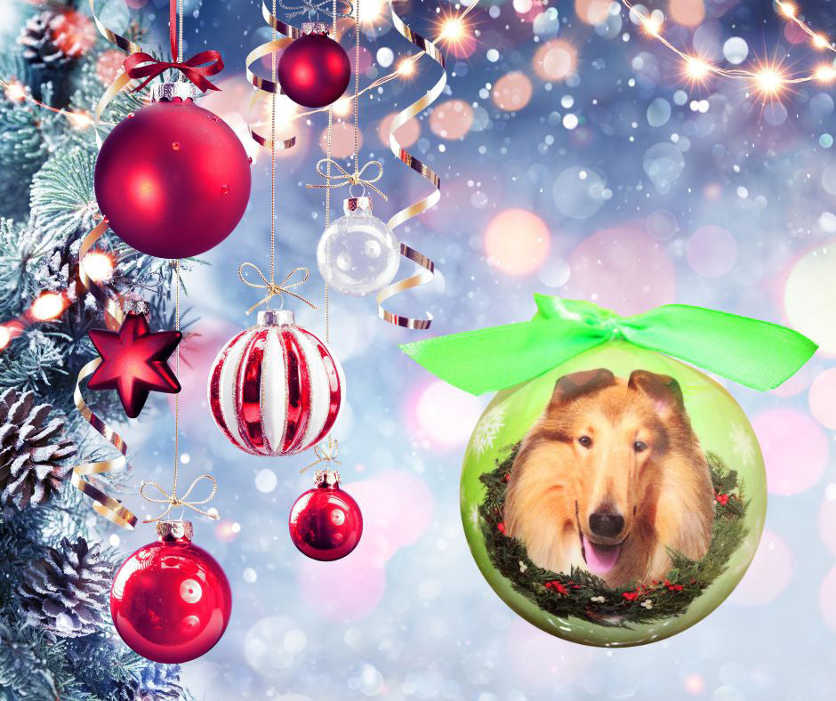 Collie Christmas Ball Ornament 3 Pack - One Size / Light Green Ornaments Old Glory   