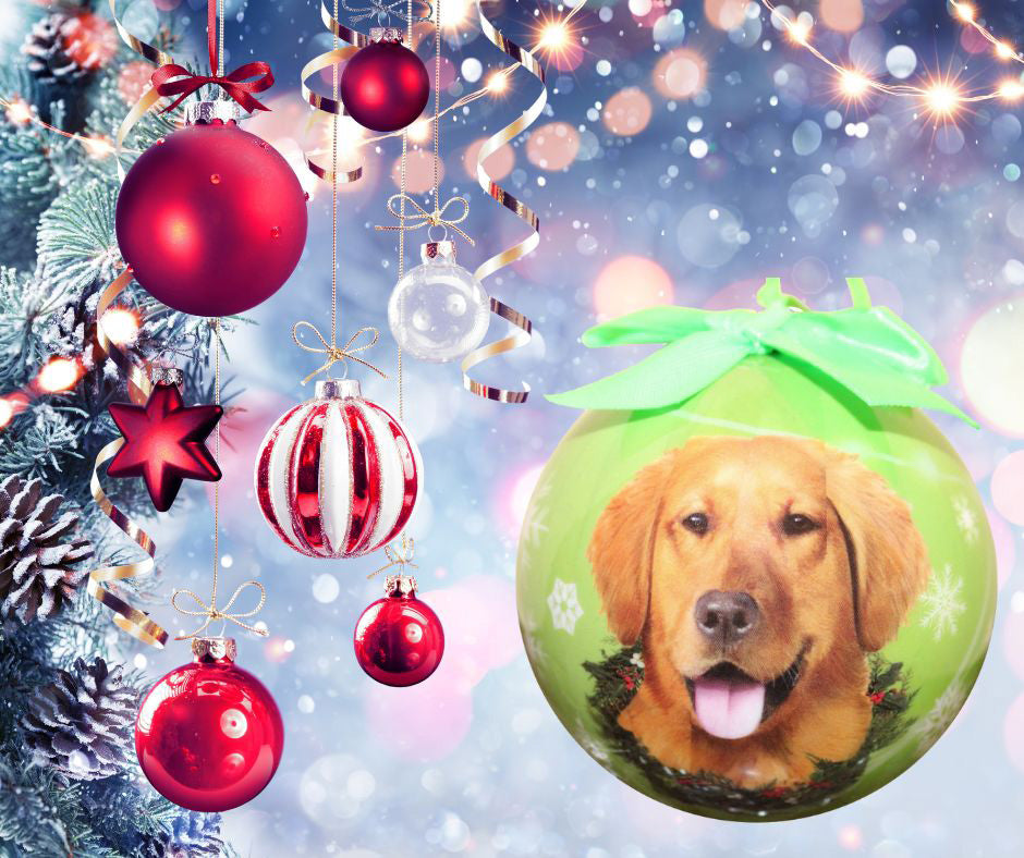 Golden Retriever Christmas Ball Ornament 6 Pack - OS / Light Green Ornaments Old Glory   