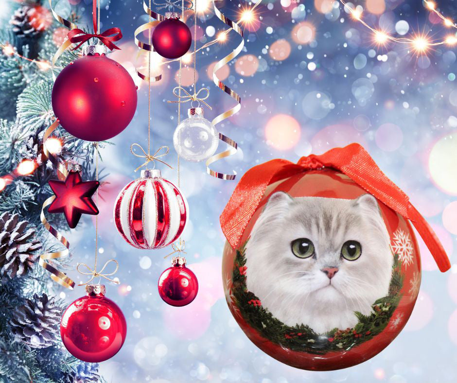 Persian Cat Christmas Ball Ornament 3 Pack - OS / Red Ornaments Old Glory   
