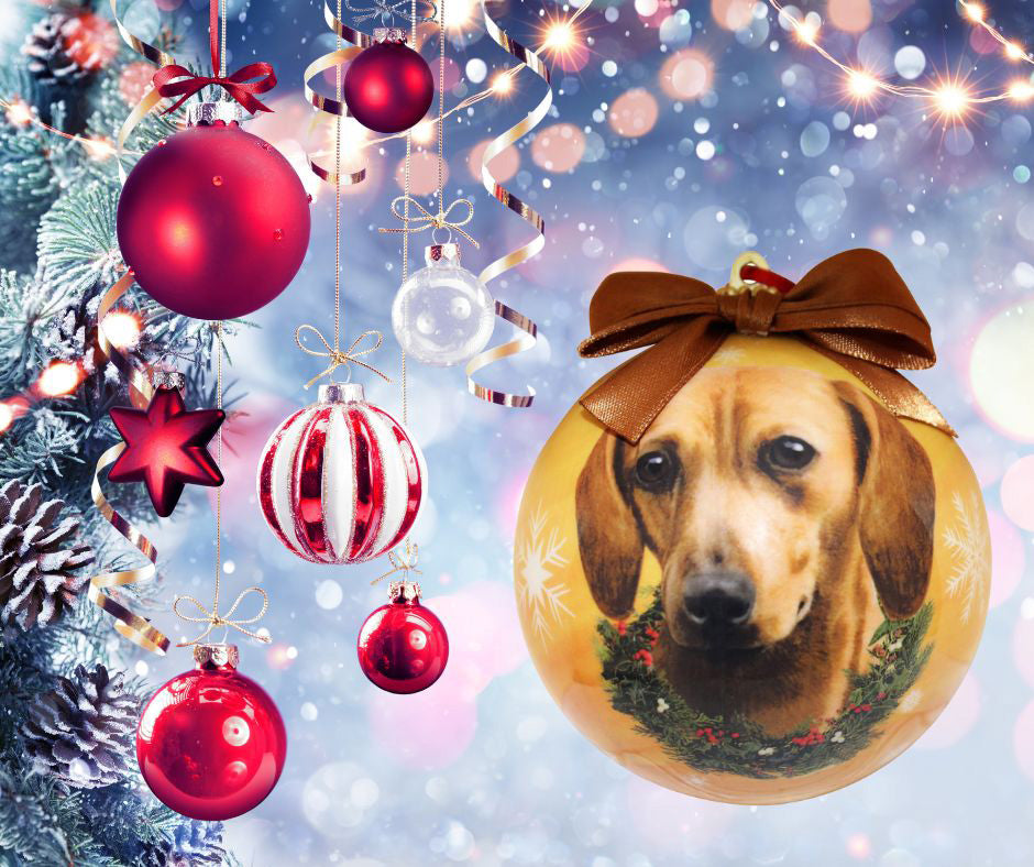 Red Dachshund Christmas Ball Ornament 6 Pack - OS / Yellow Ornaments Old Glory   