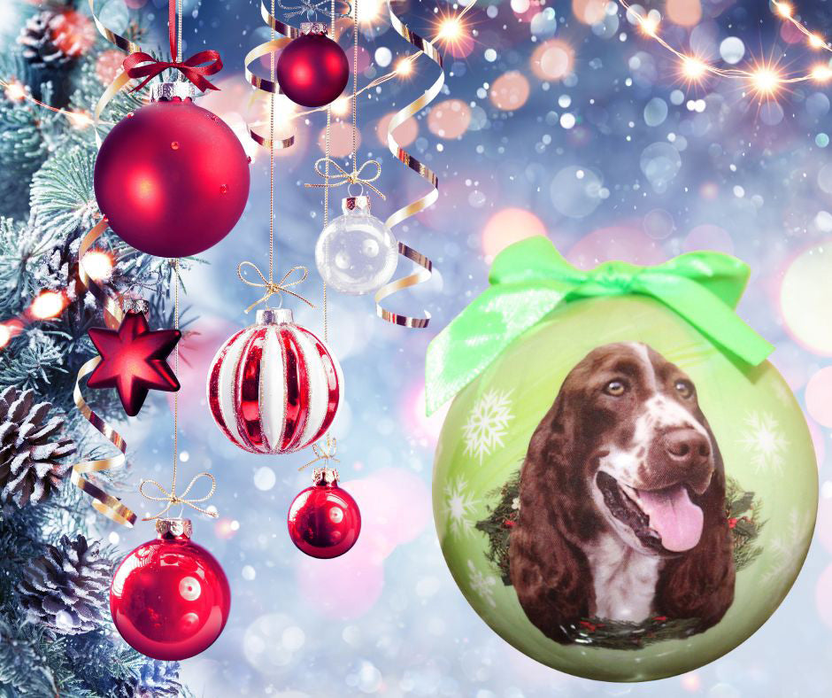 Springer Spaniel Christmas Ball Ornament 6 Pack - OS / Light Green Ornaments Old Glory   