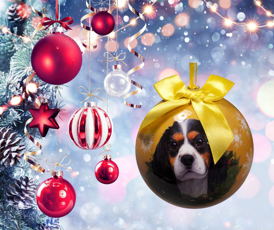 Tri-Color King Charles Cavalier Christmas Ball Ornament 3 Pack - OS / Yellow Ornaments Old Glory   