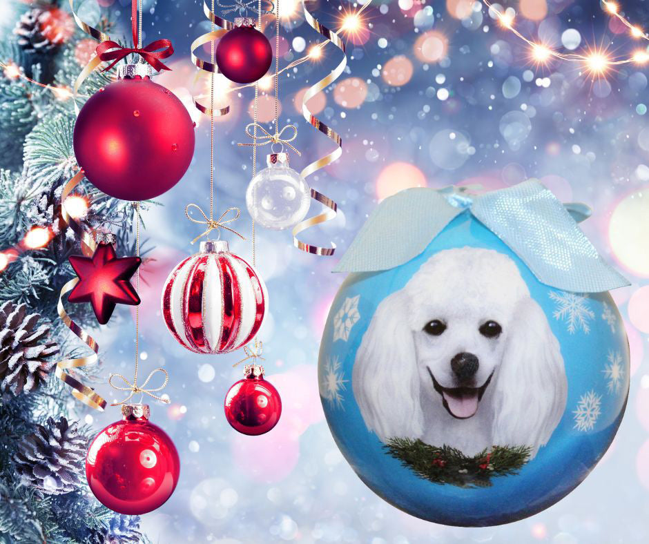 White Poodle Christmas Ball Ornament 6 Pack - OS / Light Blue Ornaments Old Glory   