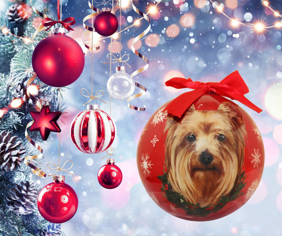 Yorkie Christmas Ball Ornament 6 Pack - OS / Red Ornaments Old Glory   