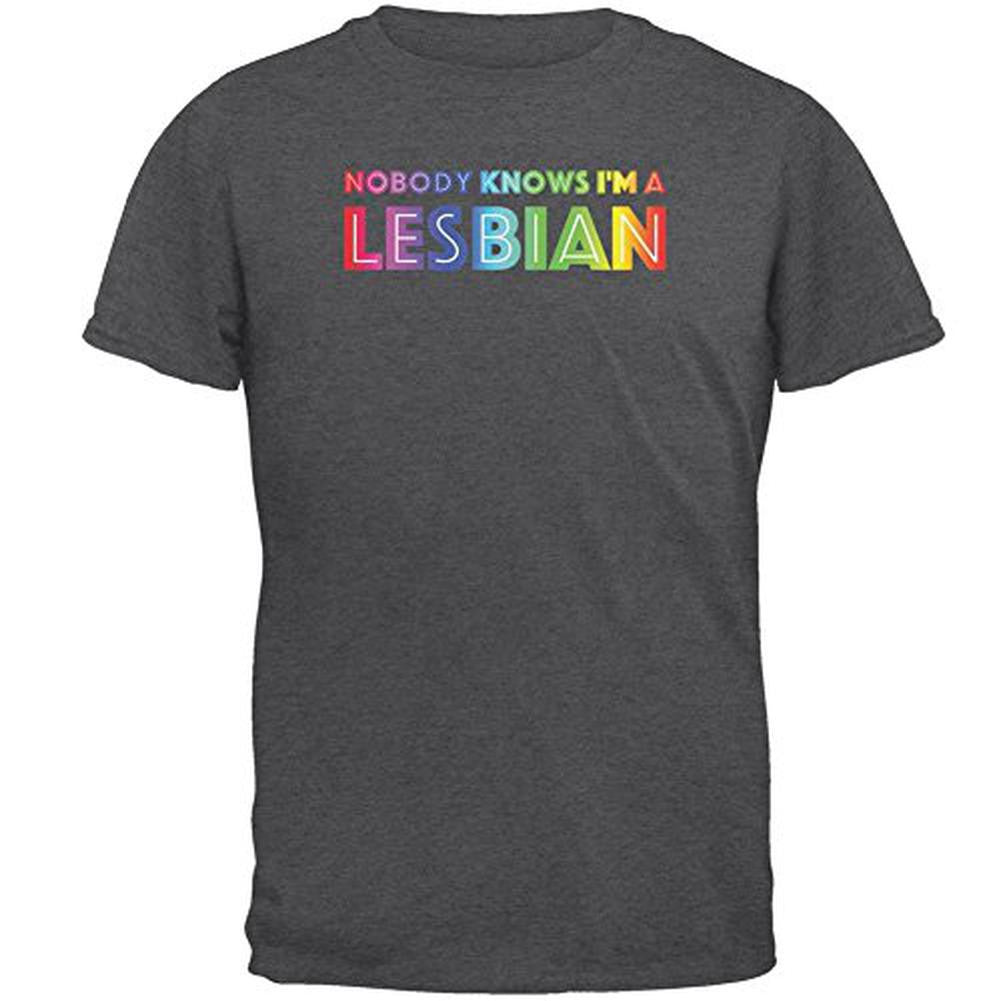 Secret Lesbian Nobody Knows Mens T Shirt Men's T-Shirts Old Glory 2XL Grey 