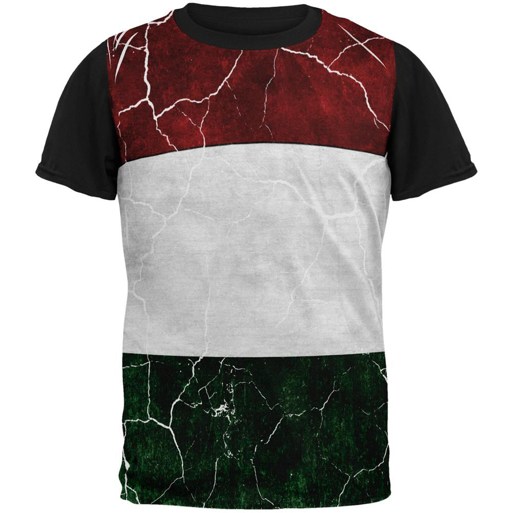 Distressed Hungarian Flag All Over Mens Black Back T Shirt Men's T-Shirts Old Glory SM Multi 