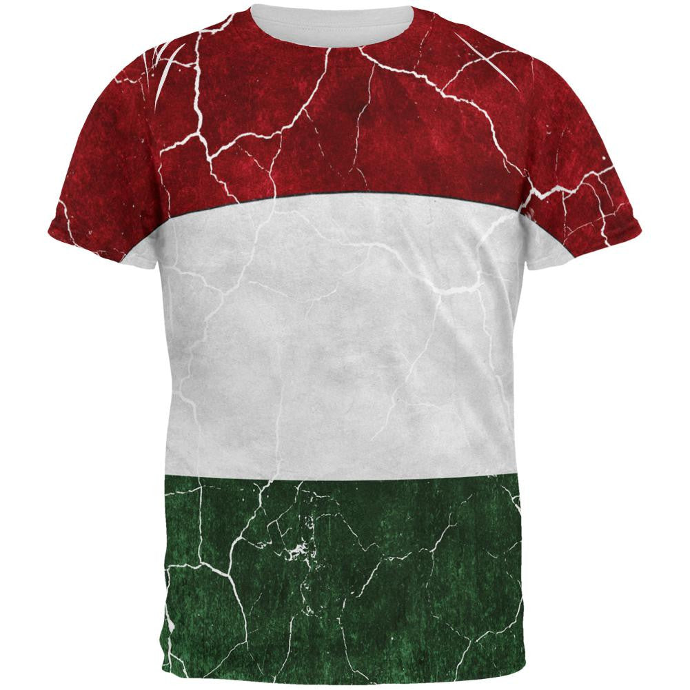 Distressed Hungarian Flag All Over Mens T Shirt Men's T-Shirts Old Glory 2XL Multi 
