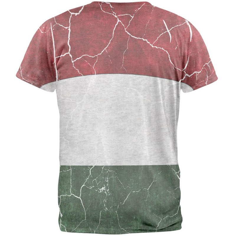 Distressed Hungarian Flag Mens T Shirt Men's T-Shirts Old Glory   