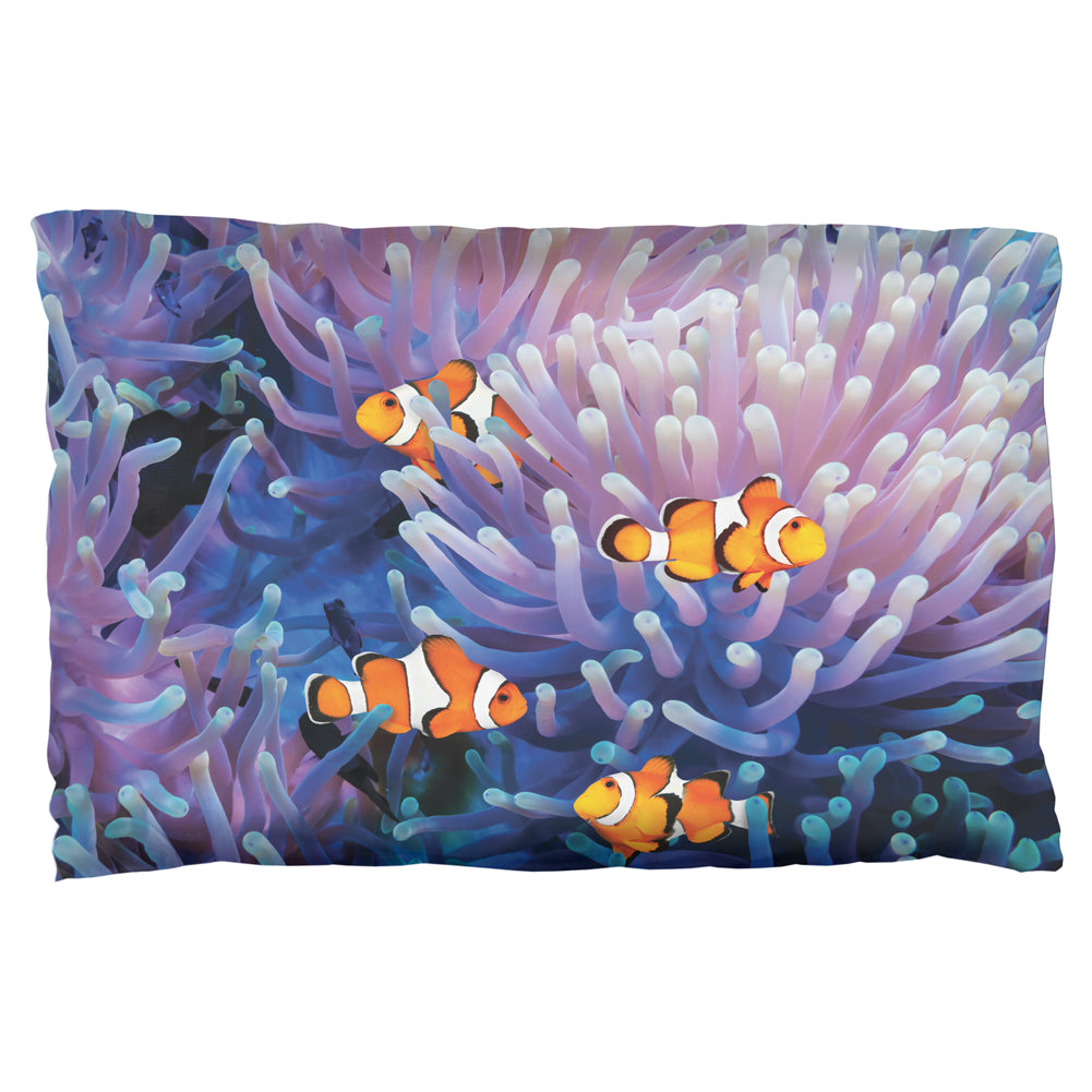 Clownfish Sea Anemone Pillow Case Pillowcases Old Glory OS Multicolored 