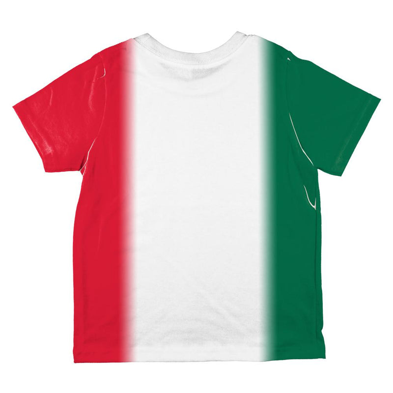 Cinco De Mayo Mexican Flag All Over Toddler T Shirt Toddler T-Shirts Old Glory   