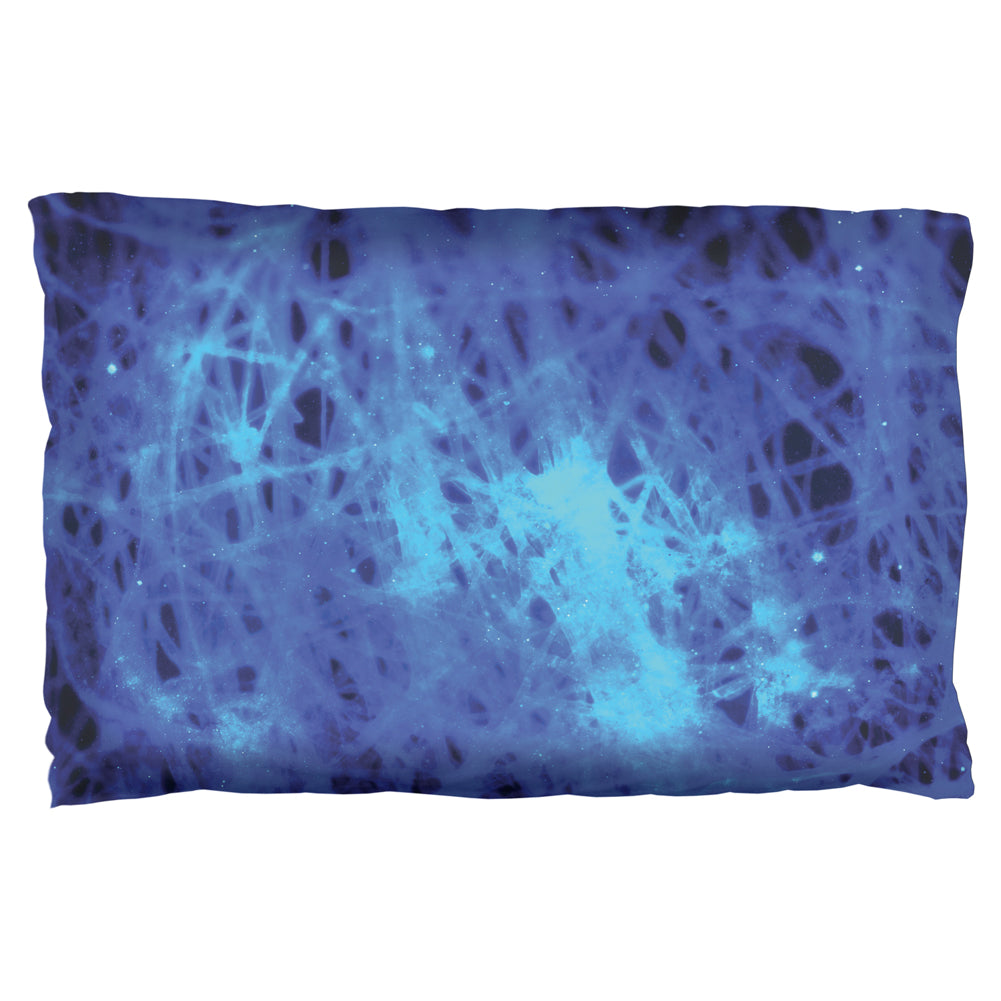 Brain Neurotransmitters Pillow Case Pill cases global OS Multi 