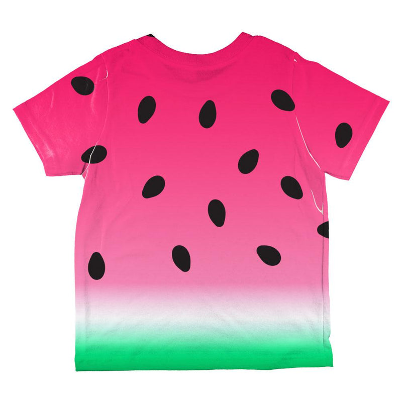 Summer Sun Watermelon Ombre Costume All Over Toddler T Shirt Toddler T-Shirts Old Glory   