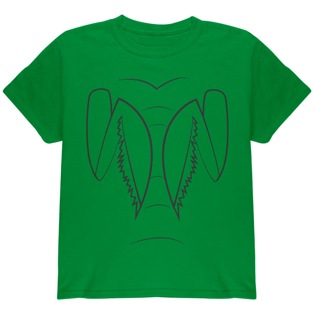 Halloween Praying Mantis Costume Youth T Shirt Youth T-Shirts Old Glory YLG Irish Green 