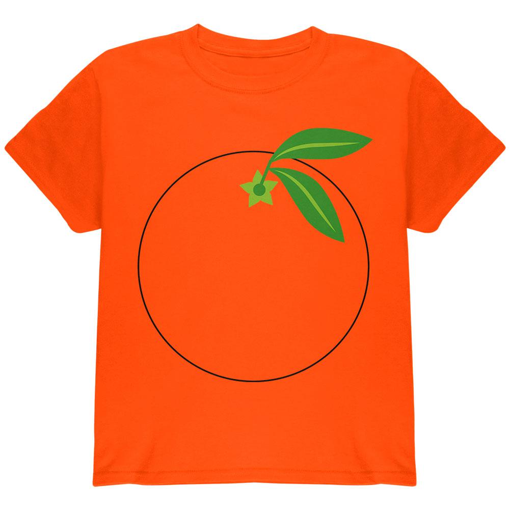 Halloween Fruit Orange Costume Youth T Shirt Youth T-Shirts Old Glory LG Orange 