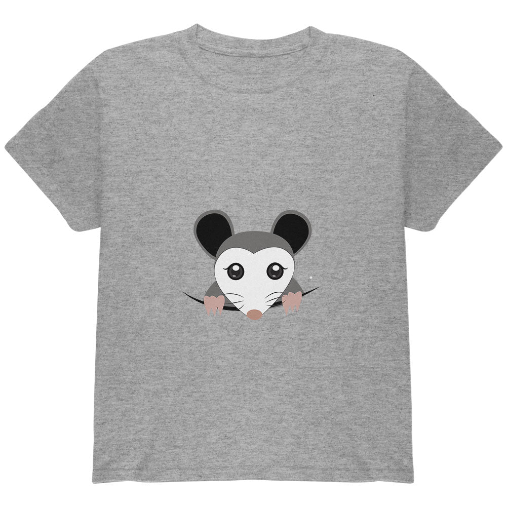 Halloween Peeking Possum Costume Youth T Shirt Youth T-Shirts Old Glory YLG Heather 