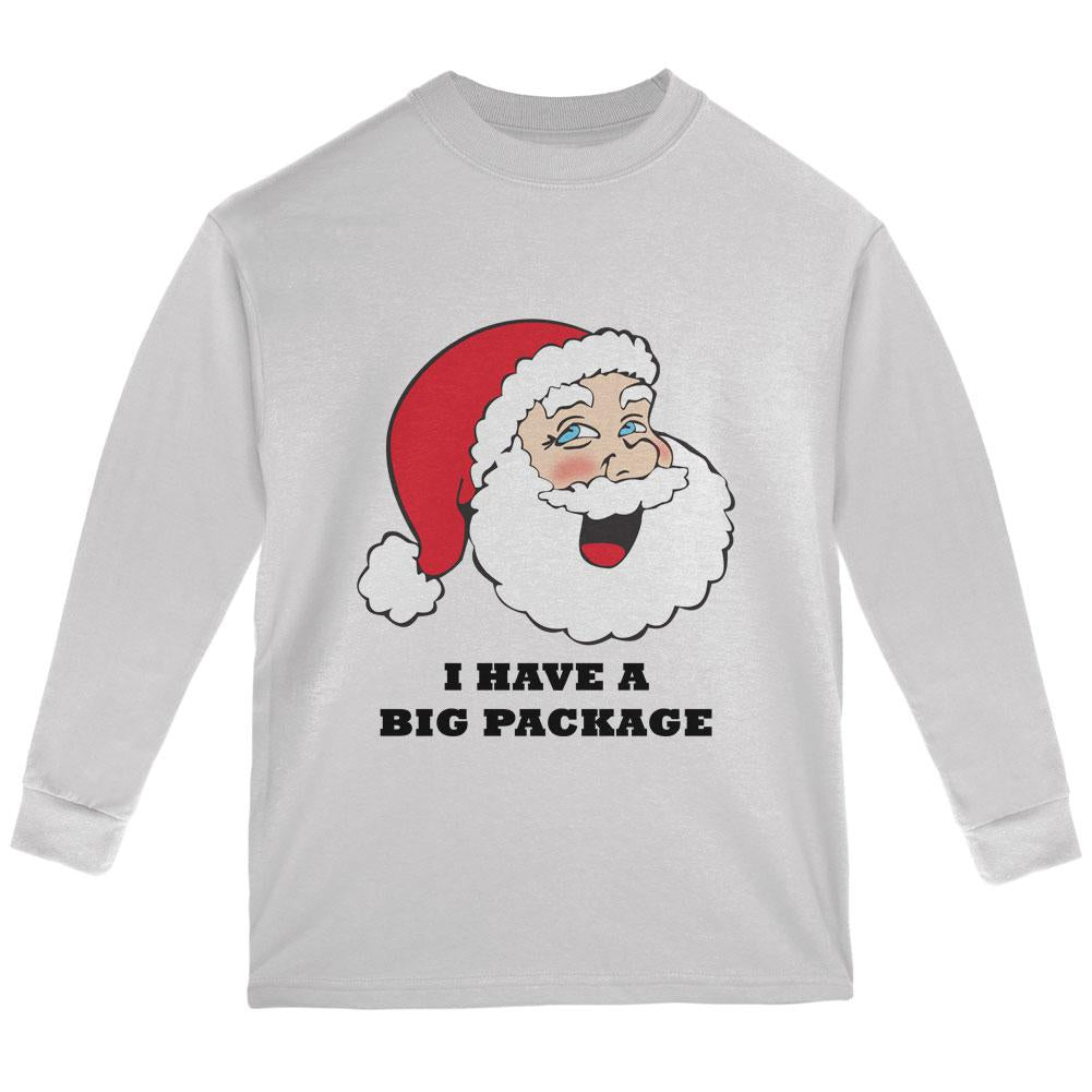 Christmas Santa I Have a Big Package Funny Youth Long Sleeve T Shirt Youth Long Sleeves Old Glory LG White 