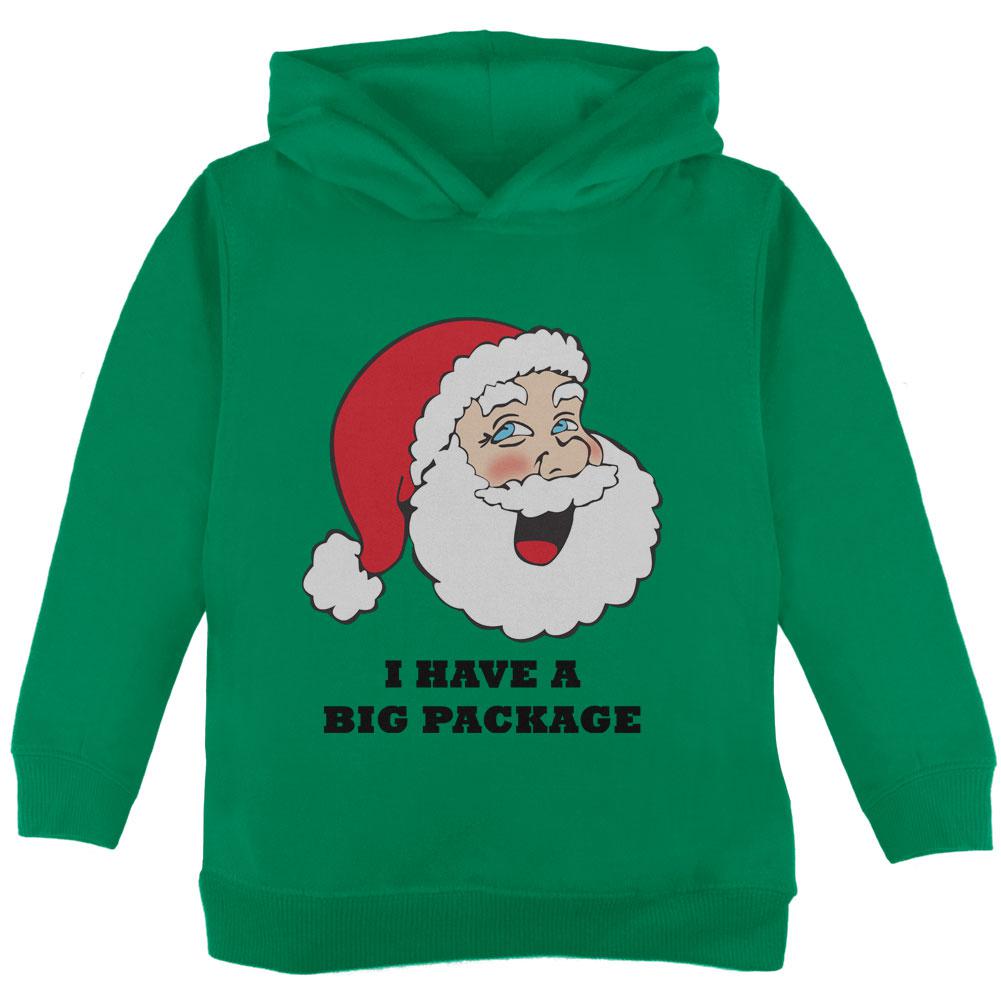 Christmas Santa I Have a Big Package Funny Toddler Hoodie Toddler Hoodies Old Glory 2T Green 