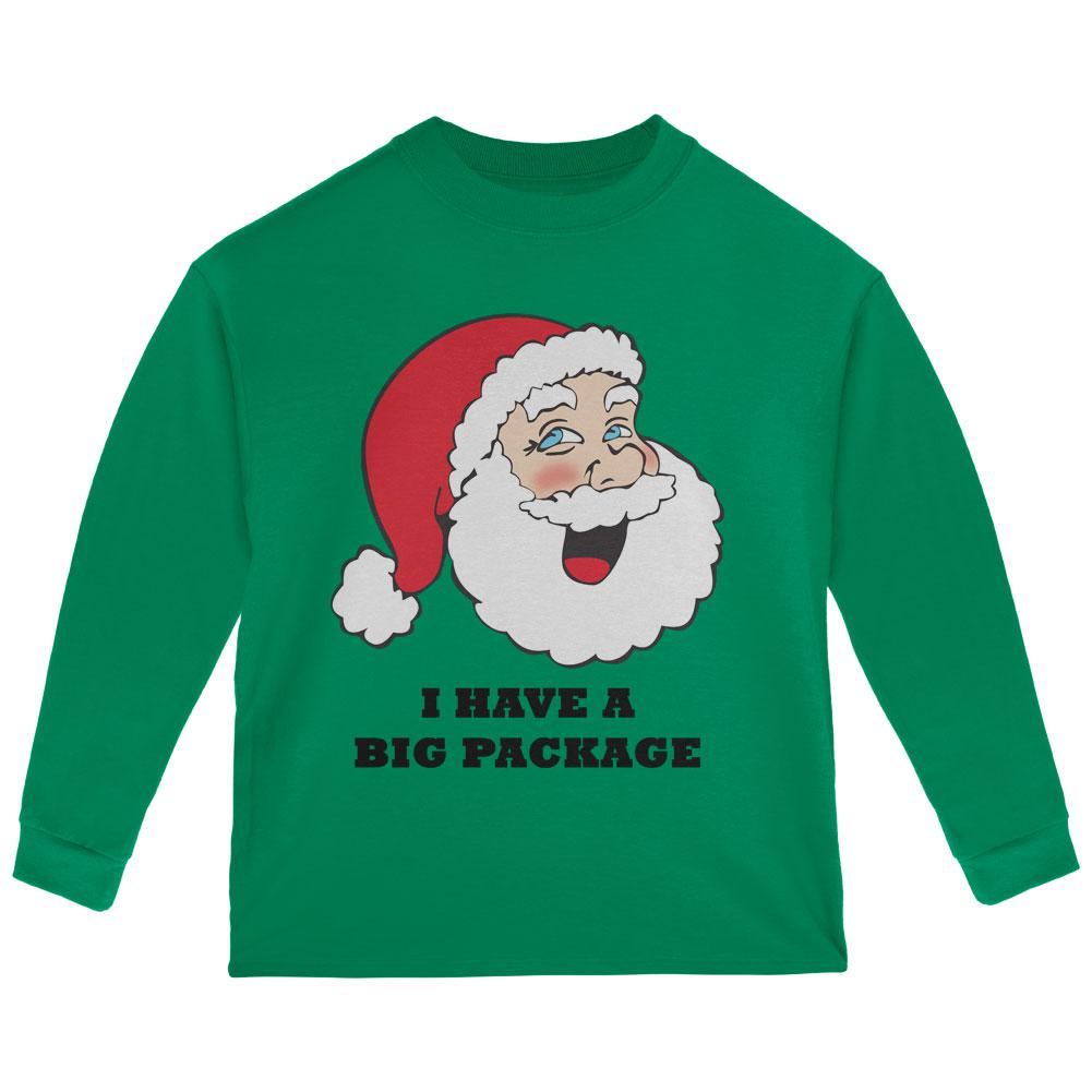 Christmas Santa I Have a Big Package Funny Toddler Long Sleeve T Shirt Toddler Long Sleeves Old Glory 2T Green 