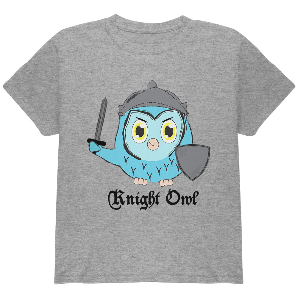 Knight Owl Night Funny Pun Youth T Shirt Youth T-Shirts Old Glory YLG Heather 