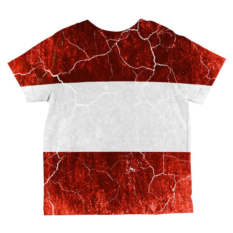 Austrian Flag Distressed Grunge All Over Toddler T Shirt Toddler T-Shirts Old Glory   