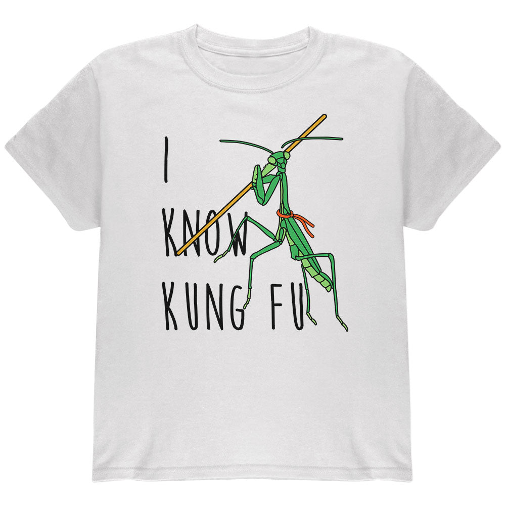 Praying Mantis I Know Kung Fu Youth T Shirt Youth T-Shirts Old Glory YLG White 